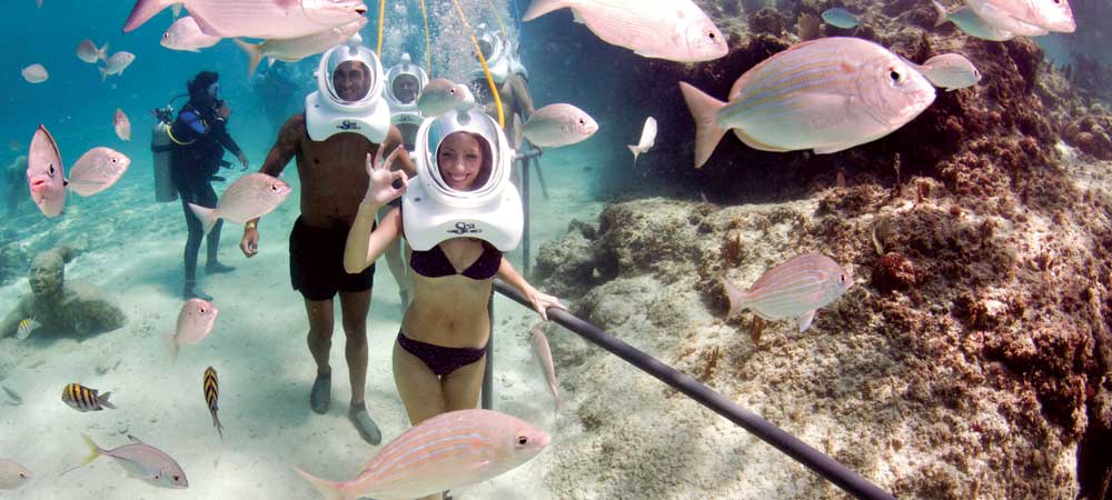 Sea Trek Cozumel